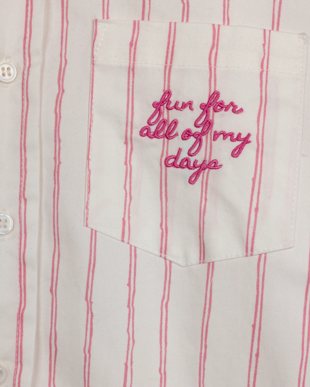 Sketch Pinstriped Embroidered Blouse - Image 7